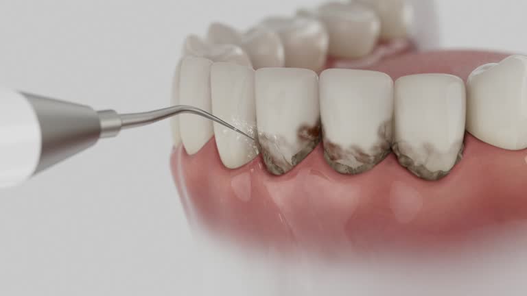 Reliable Dental contractor in Columbus, IN by Dentist Open Now